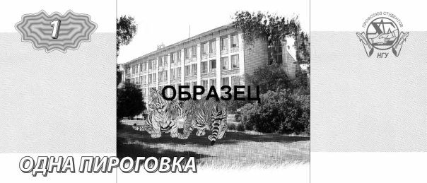 1 pirogovka