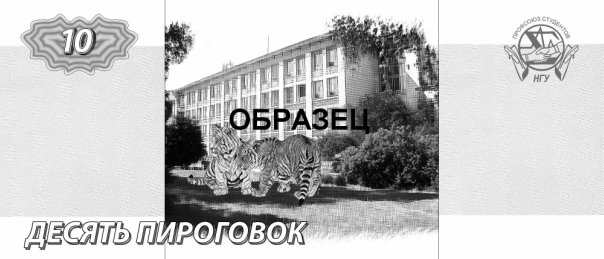 10 pirogovok